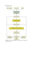 prehn test torsion testis|prehn diagnosis.